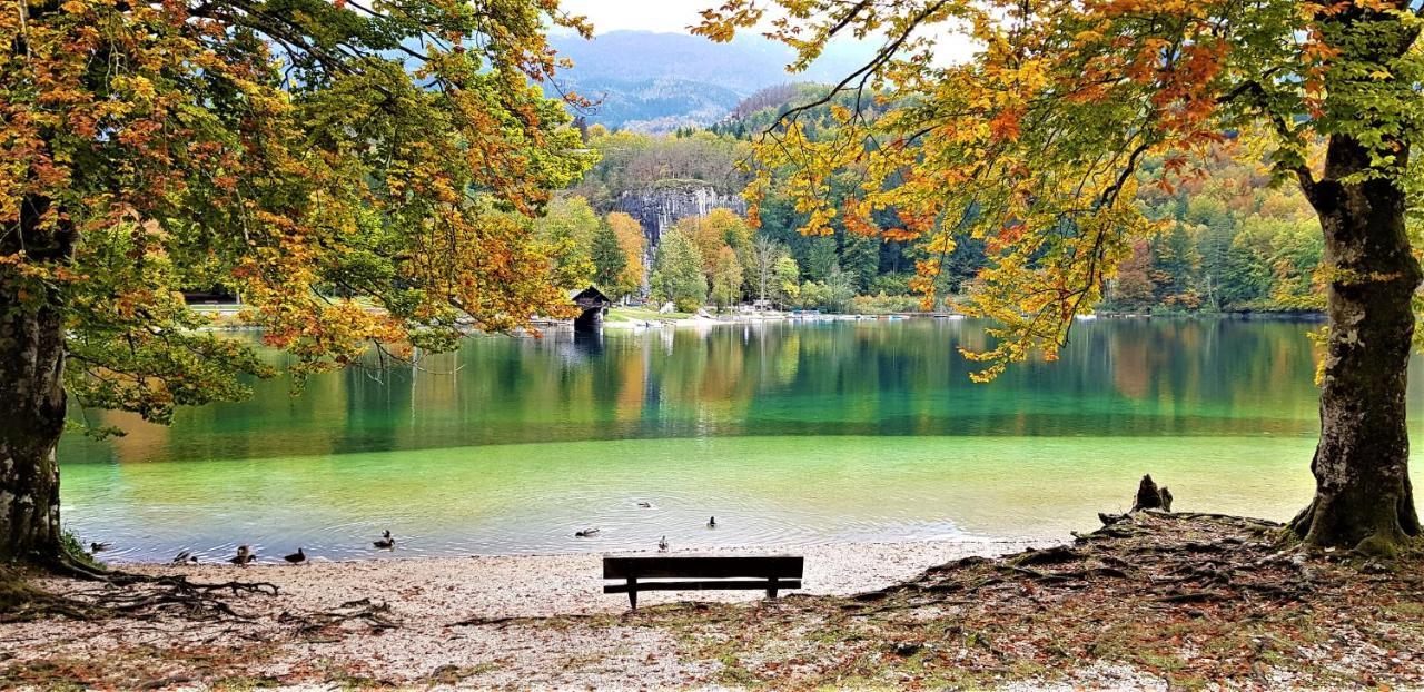 7 Lakes Apartment Бохинь Экстерьер фото